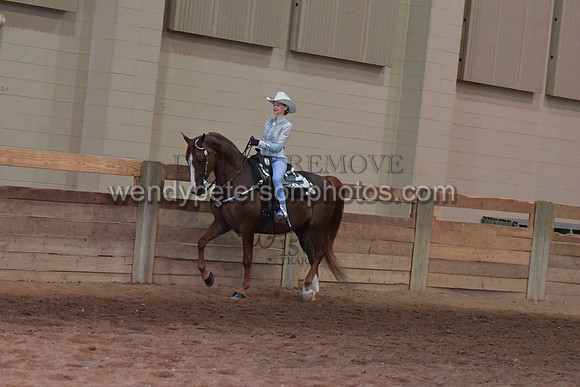 067_2960-Do_not_copy_PROOF
