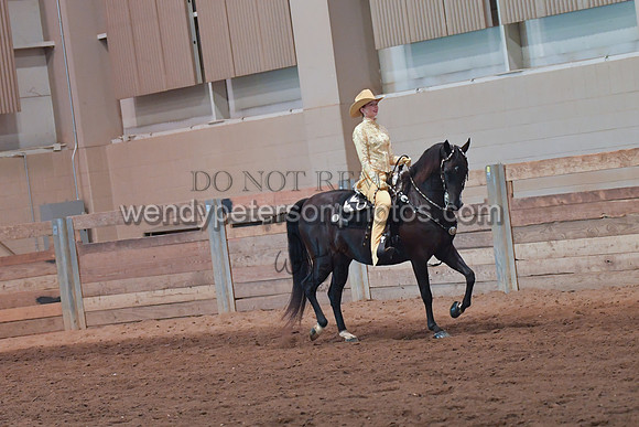 067_2963-Do_not_copy_PROOF