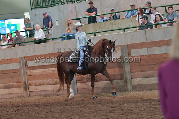 067_2965-Do_not_copy_PROOF
