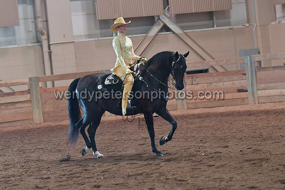 067_2970-Do_not_copy_PROOF
