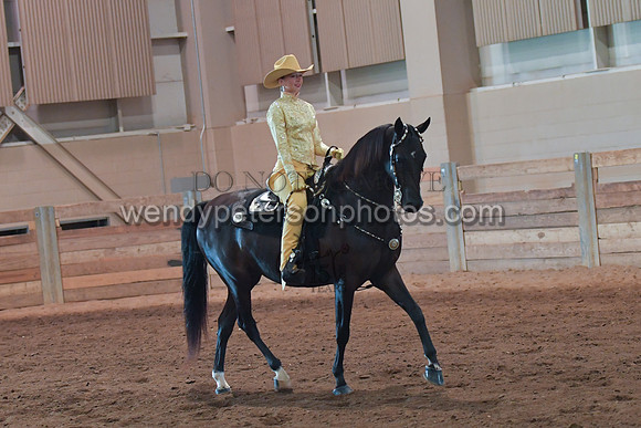 067_2971-Do_not_copy_PROOF