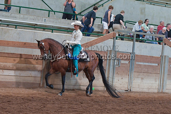 067_2982-Do_not_copy_PROOF