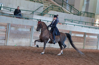 056 Morgan Classic Pleasure Saddle Junior Exhibitor 17 & Under