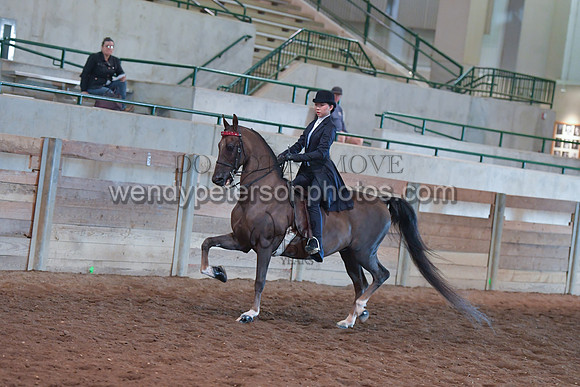 056_2849-Do_not_copy_PROOF