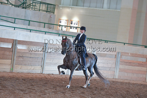 056_2853-Do_not_copy_PROOF