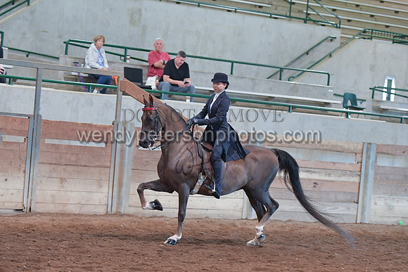 056_2856-Do_not_copy_PROOF