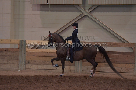056_2851-Do_not_copy_PROOF