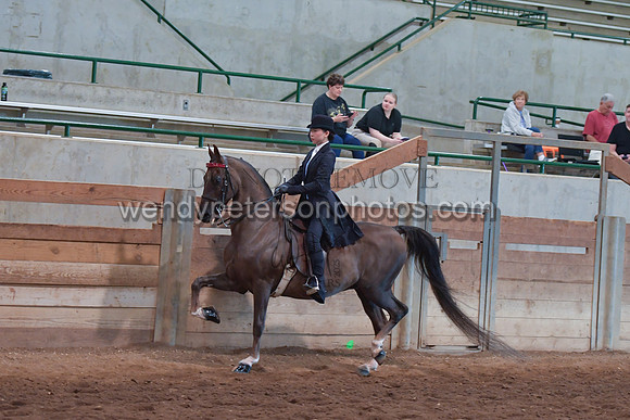 056_2850-Do_not_copy_PROOF