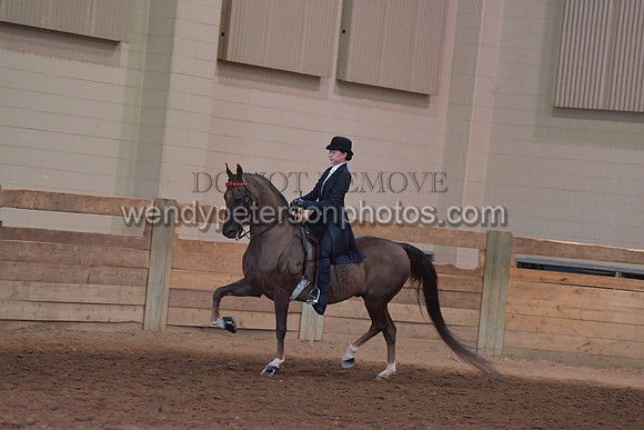 056_2860-Do_not_copy_PROOF