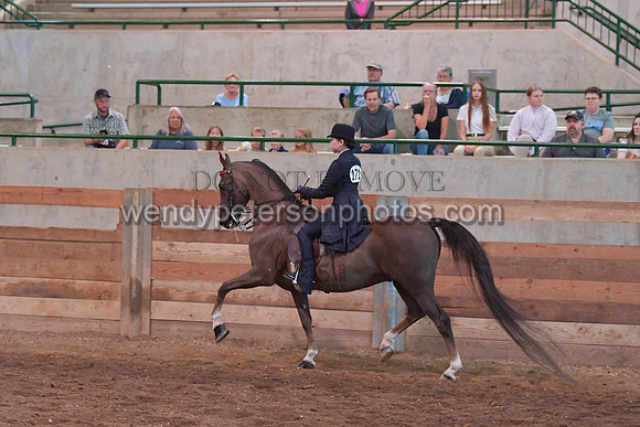 056_2858-Do_not_copy_PROOF