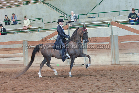 056_2868-Do_not_copy_PROOF
