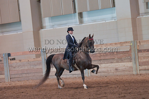 056_2870-Do_not_copy_PROOF