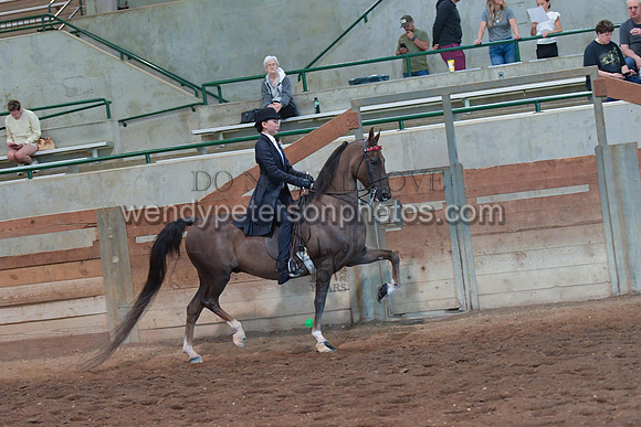 056_2877-Do_not_copy_PROOF