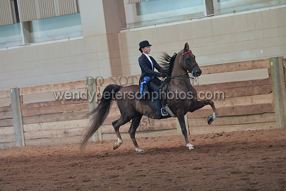 056_2888-Do_not_copy_PROOF