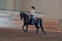 055 Morgan Western Pleasure Ladies 18 & Over