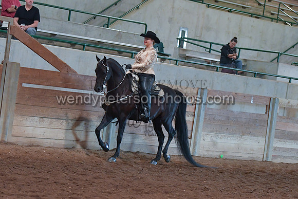 055_2832-Do_not_copy_PROOF