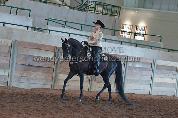 055_2830-Do_not_copy_PROOF