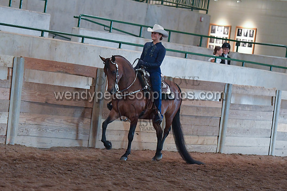 053_2785-Do_not_copy_PROOF