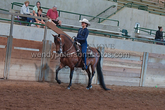 053_2787-Do_not_copy_PROOF
