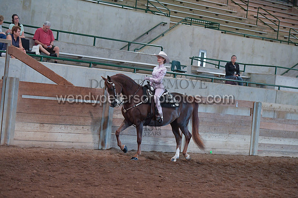 053_2784-Do_not_copy_PROOF