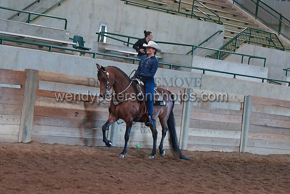 053_2786-Do_not_copy_PROOF