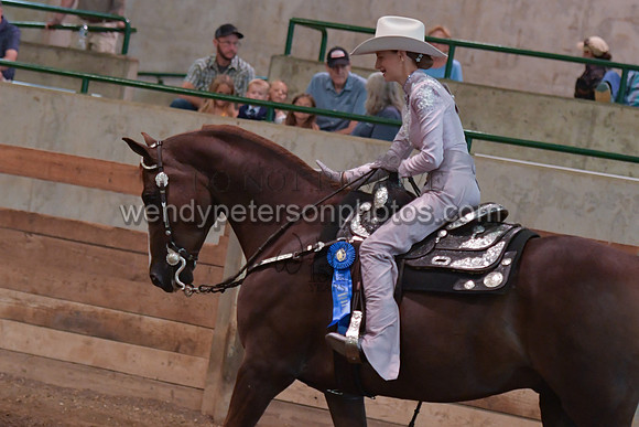 053_2827-Do_not_copy_PROOF