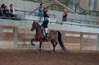 049 Hunt Seat Equitation 14-17