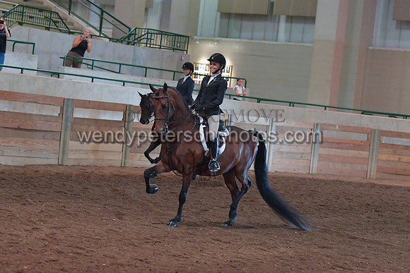 049_2696-Do_not_copy_PROOF