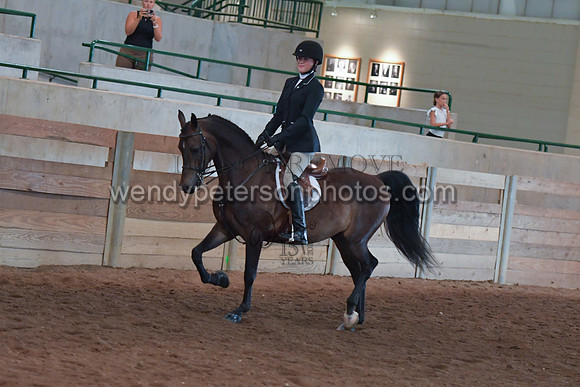 049_2699-Do_not_copy_PROOF