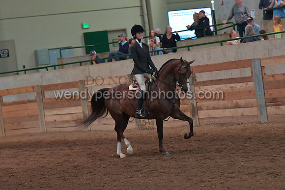 049_2721-Do_not_copy_PROOF