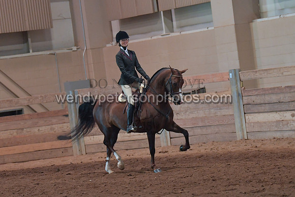 049_2728-Do_not_copy_PROOF