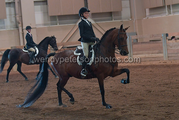 049_2731-Do_not_copy_PROOF