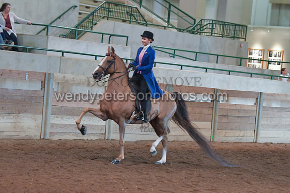 048_2664-Do_not_copy_PROOF