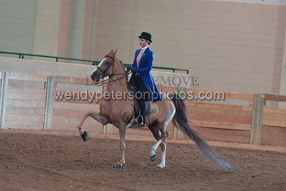 048_2663-Do_not_copy_PROOF