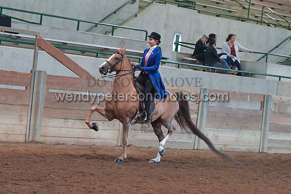 048_2665-Do_not_copy_PROOF
