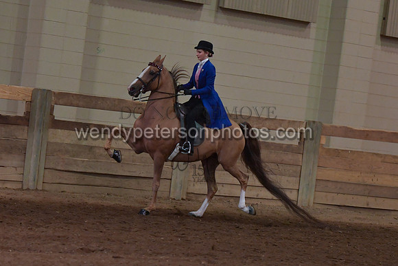 048_2670-Do_not_copy_PROOF