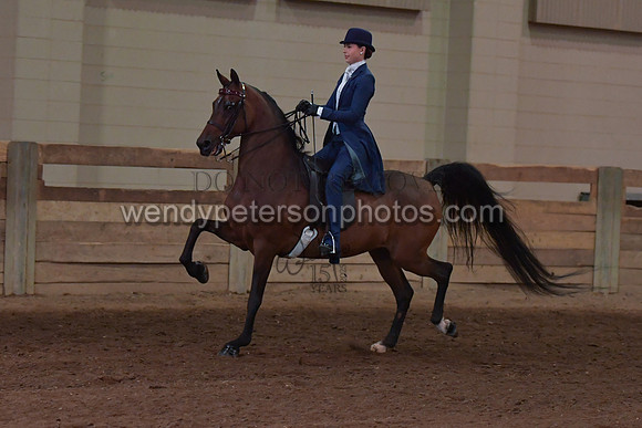 048_2672-Do_not_copy_PROOF