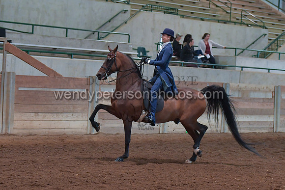 048_2675-Do_not_copy_PROOF
