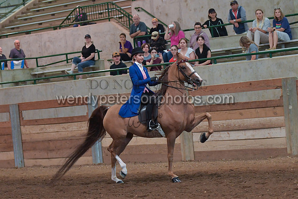048_2680-Do_not_copy_PROOF