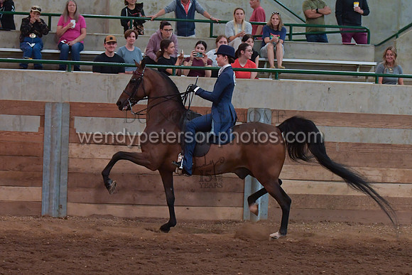 048_2676-Do_not_copy_PROOF