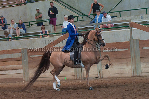 048_2681-Do_not_copy_PROOF