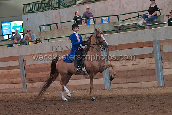 048_2679-Do_not_copy_PROOF
