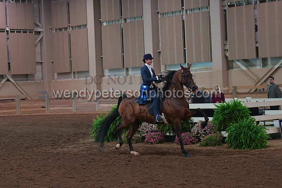 048_2689-Do_not_copy_PROOF