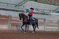 042 Morgan Western Pleasure AOTS