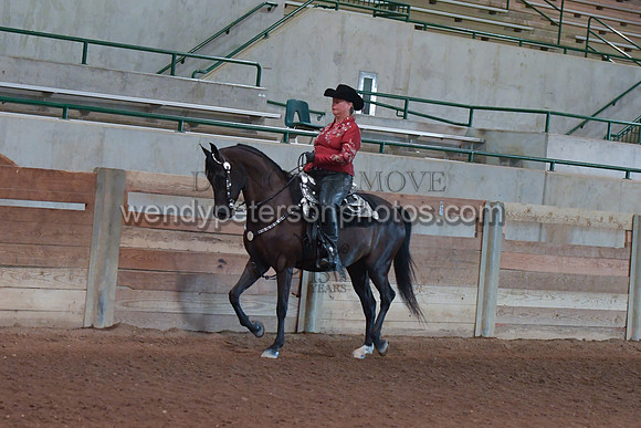 042_2532-Do_not_copy_PROOF