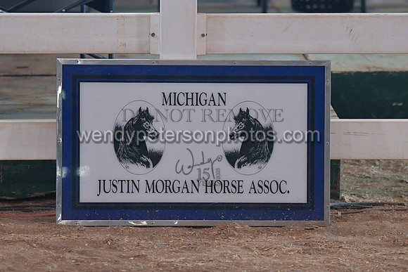 042_2538-Do_not_copy_PROOF