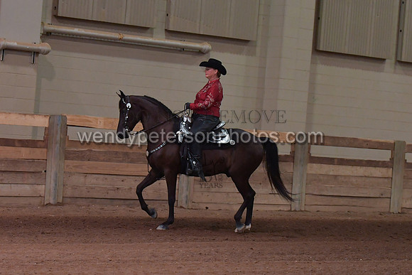 042_2536-Do_not_copy_PROOF