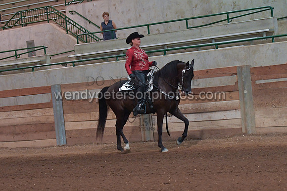 042_2542-Do_not_copy_PROOF