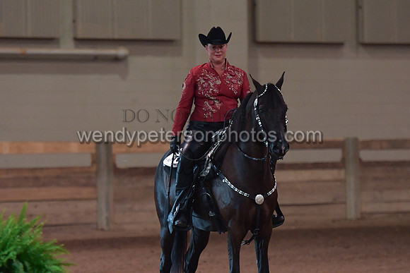 042_2547-Do_not_copy_PROOF