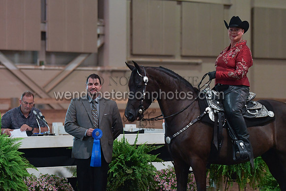 042_2550-Do_not_copy_PROOF
